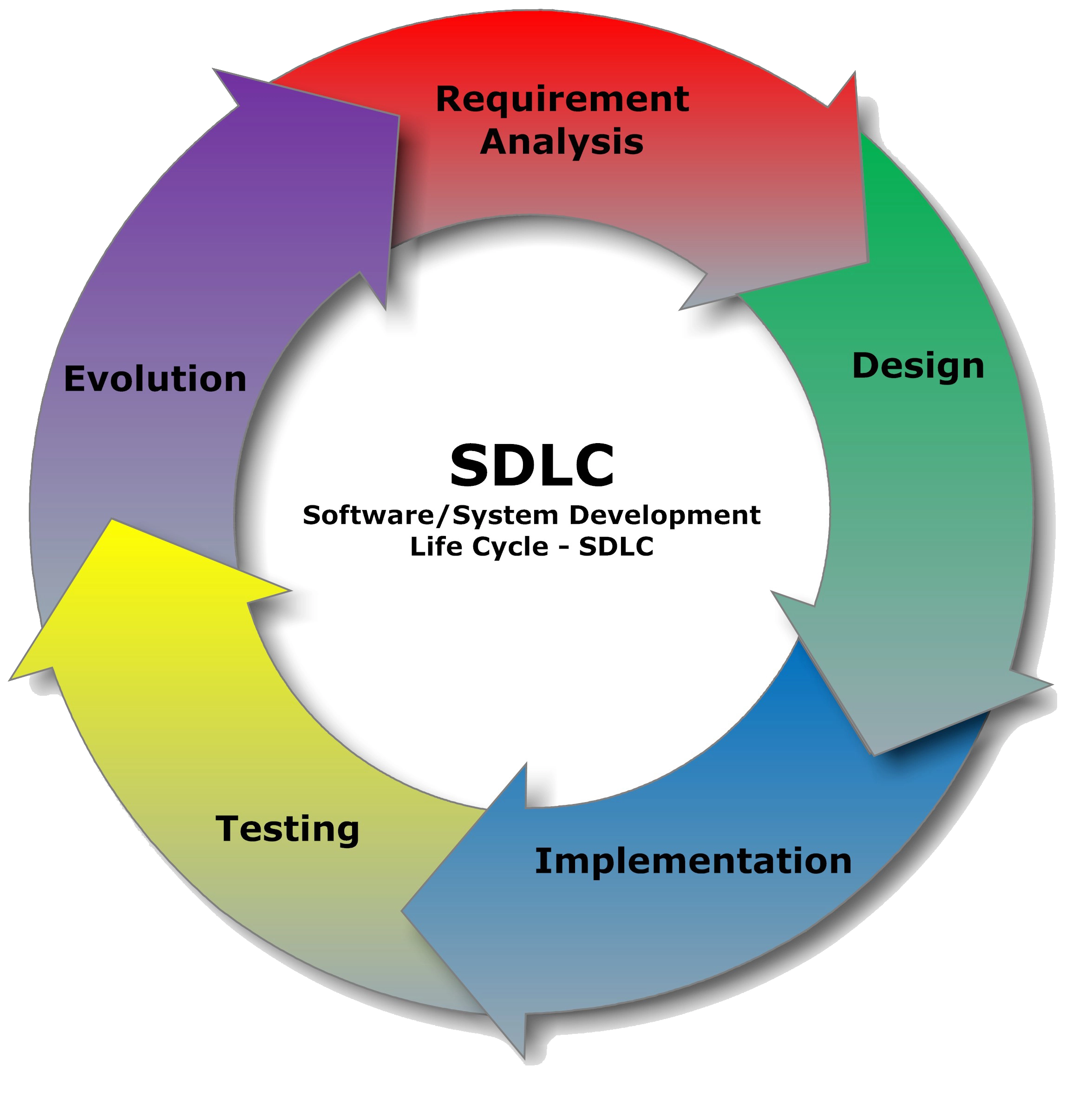 Professional Software Development Company